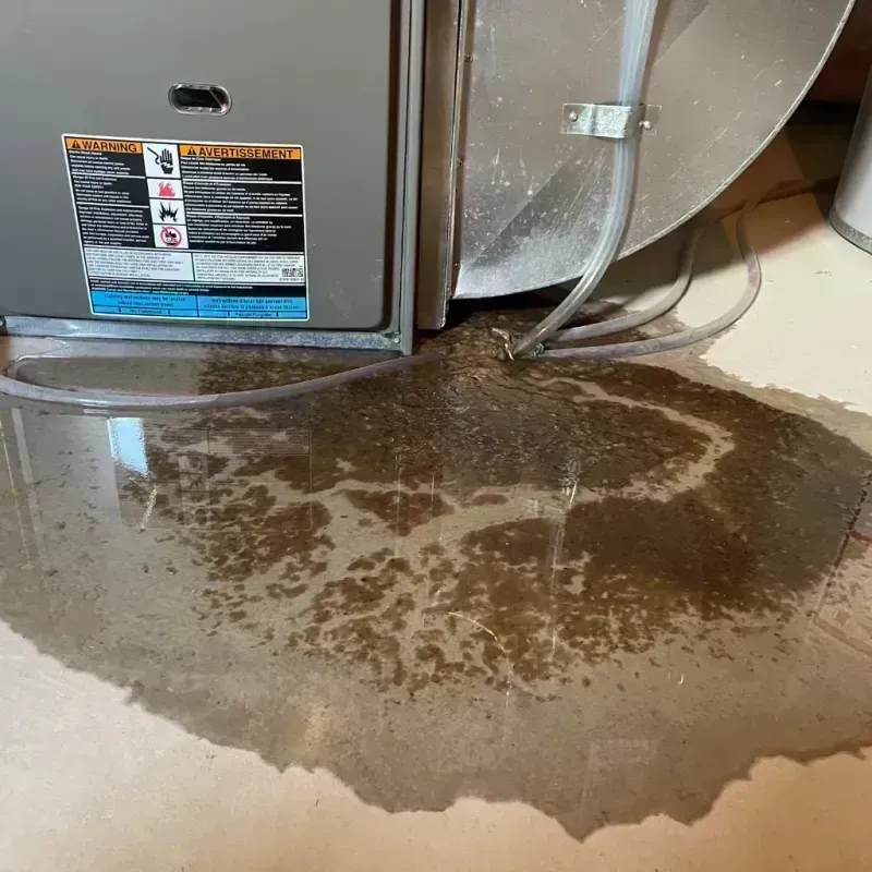 Appliance Leak Cleanup in Turner, OR